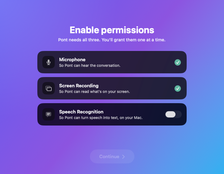 Pont's permissions screen listing microphone and audio access