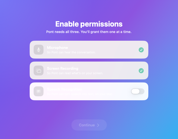Pont's permissions screen listing microphone and audio access